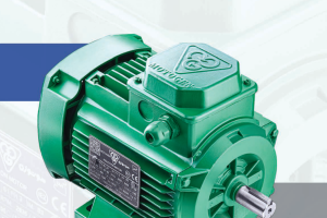 الکتروموتورهای راندمان بالا موتوژن